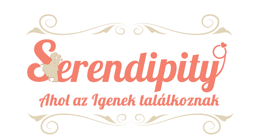 Serendipity Logo900